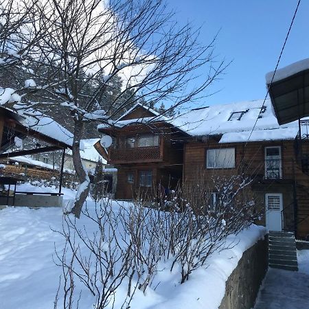 Villa Під Лісом У Гіда Jaremče Esterno foto